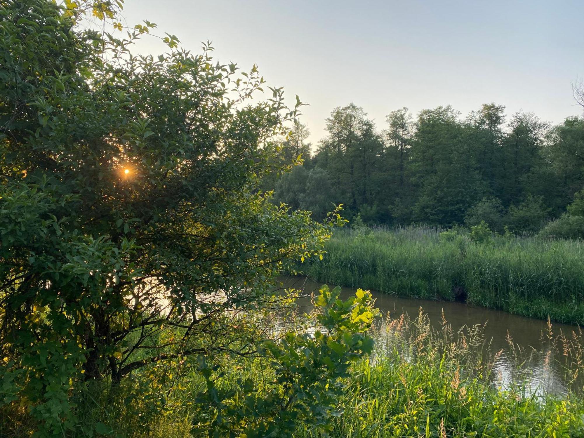 Przytulny Domek W Lesie Blisko Rzeki Ryczywol  Exterior foto