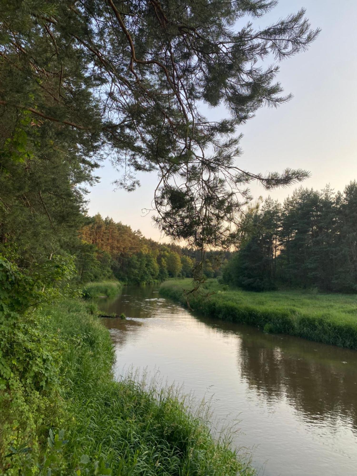 Przytulny Domek W Lesie Blisko Rzeki Ryczywol  Exterior foto