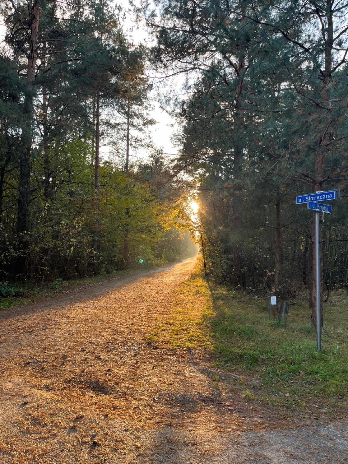 Przytulny Domek W Lesie Blisko Rzeki Ryczywol  Exterior foto